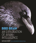 Emery |  Bird Brain | eBook | Sack Fachmedien