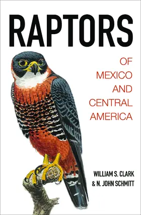Clark / Schmitt |  Raptors of Mexico and Central America | eBook | Sack Fachmedien