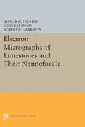 Fischer / Honjo / Garrison |  Electron Micrographs of Limestones and Their Nannofossils | eBook | Sack Fachmedien