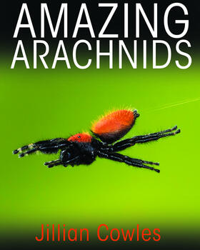 Cowles | Amazing Arachnids | E-Book | sack.de