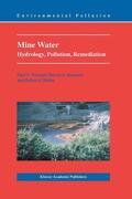 Younger / Hedin / Banwart |  Mine Water | Buch |  Sack Fachmedien
