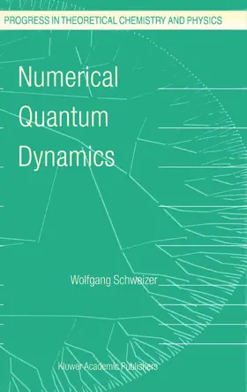 Schweizer |  Numerical Quantum Dynamics | Buch |  Sack Fachmedien