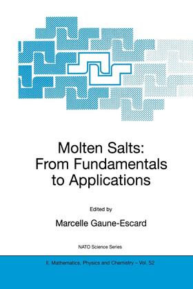 Gaune-Escard | Molten Salts | Buch | 978-1-4020-0458-2 | sack.de