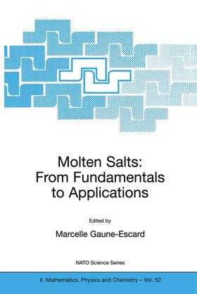 Gaune-Escard | Molten Salts | Buch | 978-1-4020-0459-9 | sack.de