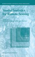 Stein / Gorte / van der Meer |  Spatial Statistics for Remote Sensing | Buch |  Sack Fachmedien