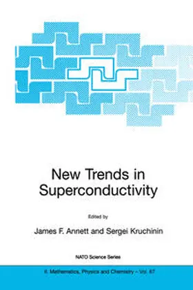 Kruchinin / Annett |  New Trends in Superconductivity | Buch |  Sack Fachmedien