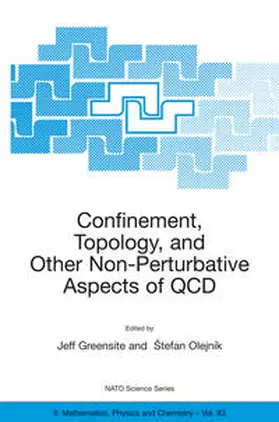 Olejník / Greensite |  Confinement, Topology, and Other Non-Perturbative Aspects of QCD | Buch |  Sack Fachmedien