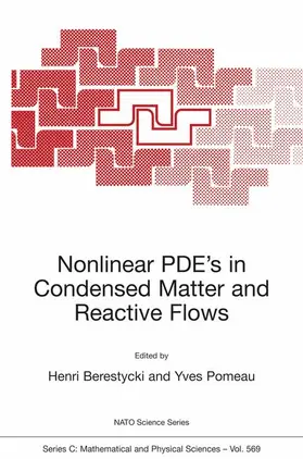 Pomeau / Berestycki |  Nonlinear PDE's in Condensed Matter and Reactive Flows | Buch |  Sack Fachmedien