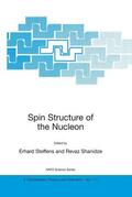 Shanidze / Steffens |  Spin Structure of the Nucleon | Buch |  Sack Fachmedien