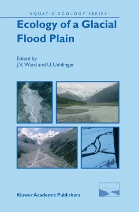 Ward / Uehlinger |  Ecology of a Glacial Flood Plain | Buch |  Sack Fachmedien