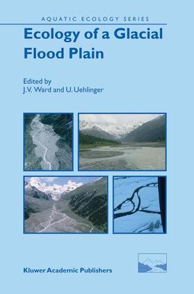 Uehlinger / Ward | Ecology of a Glacial Flood Plain | Buch | 978-1-4020-1792-6 | sack.de