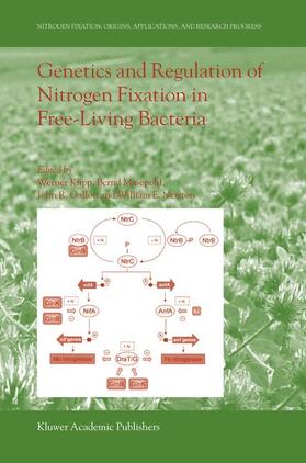 Klipp / Newton / Masepohl | Genetics and Regulation of Nitrogen Fixation in Free-Living Bacteria | Buch | 978-1-4020-2178-7 | sack.de