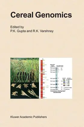 Gupta / Varshney | Cereal Genomics | Buch | 978-1-4020-2358-3 | sack.de