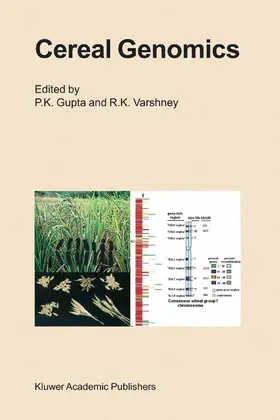 Gupta / Varshney | Cereal Genomics | E-Book | sack.de