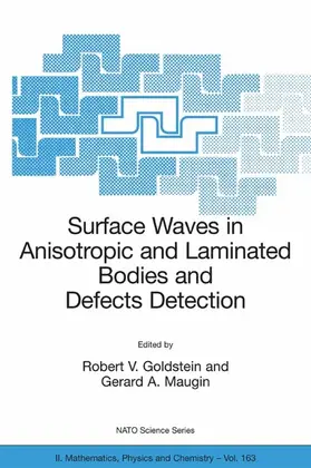 Goldstein / Maugin | Surface Waves in Anisotropic and Laminated Bodies and Defects Detection | E-Book | sack.de