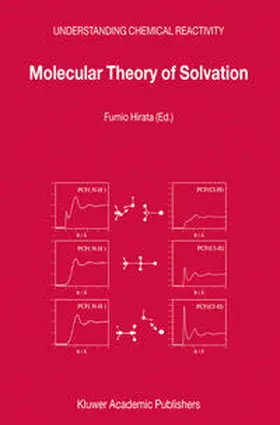 Hirata |  Molecular Theory of Solvation | eBook | Sack Fachmedien