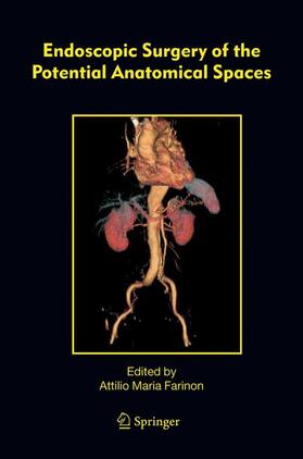 Farinon | Endoscopic Surgery of the Potential Anatomical Spaces | Buch | sack.de