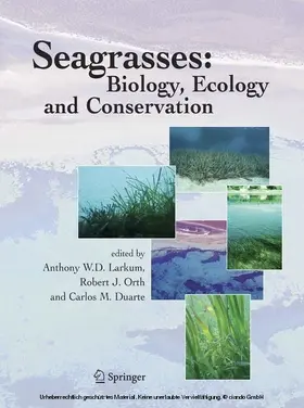 Larkum / Orth / Duarte |  Seagrasses: Biology, Ecology and Conservation | eBook | Sack Fachmedien