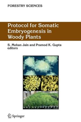 Jain / Gupta | Protocol for Somatic Embryogenesis in Woody Plants | Buch | 978-1-4020-2984-4 | sack.de