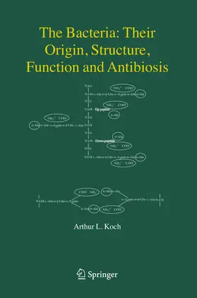 Koch | The Bacteria: Their Origin, Structure, Function and Antibiosis | E-Book | www.sack.de