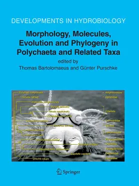 Purschke | Morphology, Molecules, Evolution and Phylogeny in Polychaeta and Related Taxa | E-Book | www.sack.de