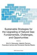 Derouane / Ribeiro / Parmon |  Sustainable Strategies for the Upgrading of Natural Gas: Fundamentals, Challenges, and Opportunities | Buch |  Sack Fachmedien
