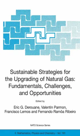 Derouane / Parmon / Lemos |  Sustainable Strategies for the Upgrading of Natural Gas: Fundamentals, Challenges, and Opportunities | eBook | Sack Fachmedien