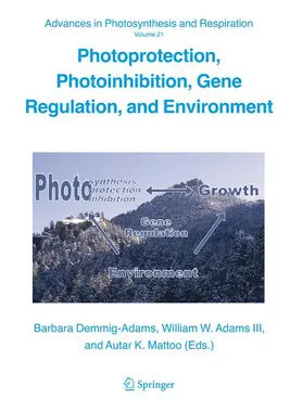 Demmig-Adams / Mattoo / Adams |  Photoprotection, Photoinhibition, Gene Regulation, and Environment | Buch |  Sack Fachmedien