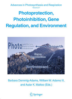 Demmig-Adams / Adams / Mattoo |  Photoprotection, Photoinhibition, Gene Regulation, and Environment | eBook | Sack Fachmedien