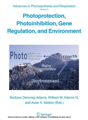 Demmig-Adams / Adams / Mattoo |  Photoprotection, Photoinhibition, Gene Regulation, and Environment | eBook | Sack Fachmedien