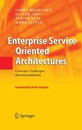 McGovern / Sims / Jain |  Enterprise Service Oriented Architectures | eBook | Sack Fachmedien