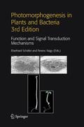 Nagy / Schäfer |  Photomorphogenesis in Plants and Bacteria | Buch |  Sack Fachmedien