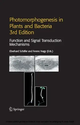 Schäfer / Nagy | Photomorphogenesis in Plants and Bacteria | E-Book | www.sack.de