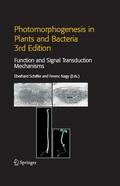 Schäfer / Nagy |  Photomorphogenesis in Plants and Bacteria | eBook | Sack Fachmedien