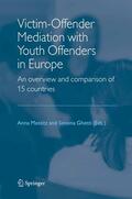 Mestitz / Ghetti |  Victim-Offender Mediation with Youth Offenders in Europe | eBook | Sack Fachmedien