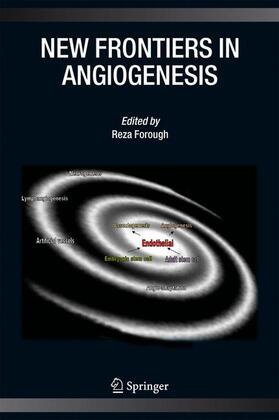 Forough | New Frontiers in Angiogenesis | Buch | 978-1-4020-4326-0 | sack.de