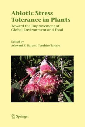 Takabe / Rai | Abiotic Stress Tolerance in Plants | Buch | 978-1-4020-4388-8 | sack.de