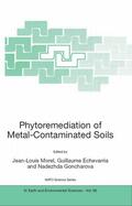 Morel / Echevarria / Goncharova |  Phytoremediation of Metal-Contaminated Soils | eBook | Sack Fachmedien
