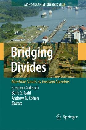 Gollasch / Cohen / Galil |  Bridging Divides | Buch |  Sack Fachmedien