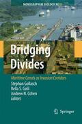 Gollasch / Cohen / Galil |  Bridging Divides | Buch |  Sack Fachmedien