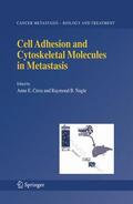 Cress / Nagle |  Cell Adhesion and Cytoskeletal Molecules in Metastasis | Buch |  Sack Fachmedien