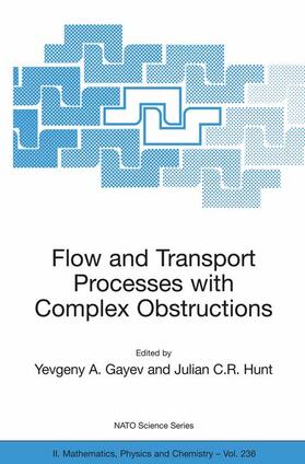 Hunt / Gayev | Flow and Transport Processes with Complex Obstructions | Buch | 978-1-4020-5383-2 | sack.de