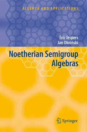 Jespers / Okninski | Noetherian Semigroup Algebras | E-Book | sack.de