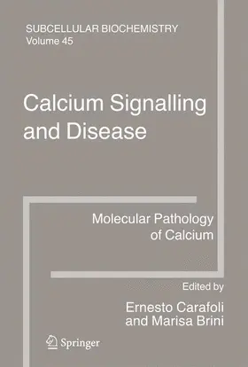 Carafoli / Brini |  Calcium Signalling and Disease | Buch |  Sack Fachmedien