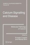 Carafoli / Brini |  Calcium Signalling and Disease | Buch |  Sack Fachmedien