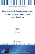 Hall / Nazarov / Lysenko |  Nanoscaled Semiconductor-on-Insulator Structures and Devices | eBook | Sack Fachmedien