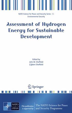 Sheffield | Assessment of Hydrogen Energy for Sustainable Development | Buch | 978-1-4020-6441-8 | sack.de