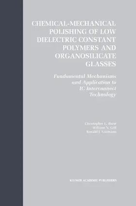 Borst / Gutmann / Gill |  Chemical-Mechanical Polishing of Low Dielectric Constant Polymers and Organosilicate Glasses | Buch |  Sack Fachmedien