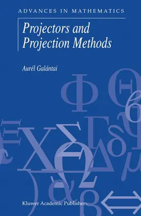 Galántai |  Projectors and Projection Methods | Buch |  Sack Fachmedien