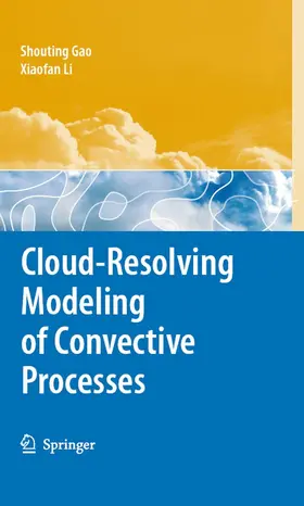 Gao / Li |  Cloud-Resolving Modeling of Convective Processes | eBook | Sack Fachmedien